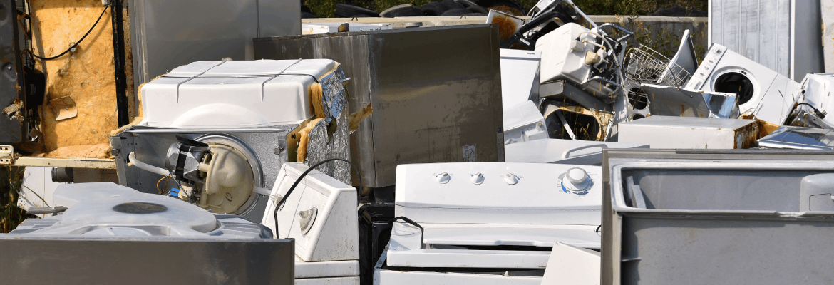 Mo’s Haul-Away LLC